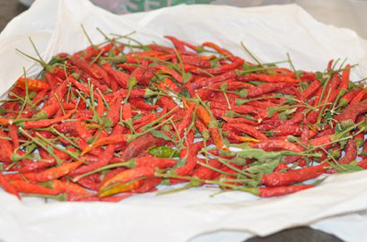 Peppers, homegrown and dried by Leanne Mounvongkham.