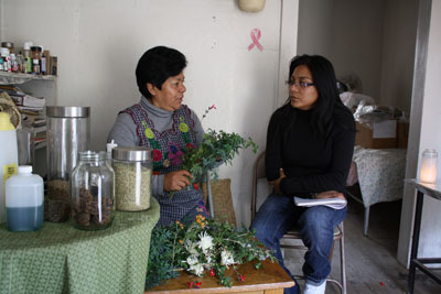 Master artist Juana Gomez (left) with her daughter and 2012 apprentice Johanna Gomez.  Johanna studied Oaxacan traditional medicine so that she could continue her mother’s work as a community healer.