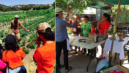 Left photo, Visiting Farmer Aaron at Feral Heart Farms. Right photo, Ate Aileen Suzara and campers discussing the origin of Filipino vegetables, 2015.